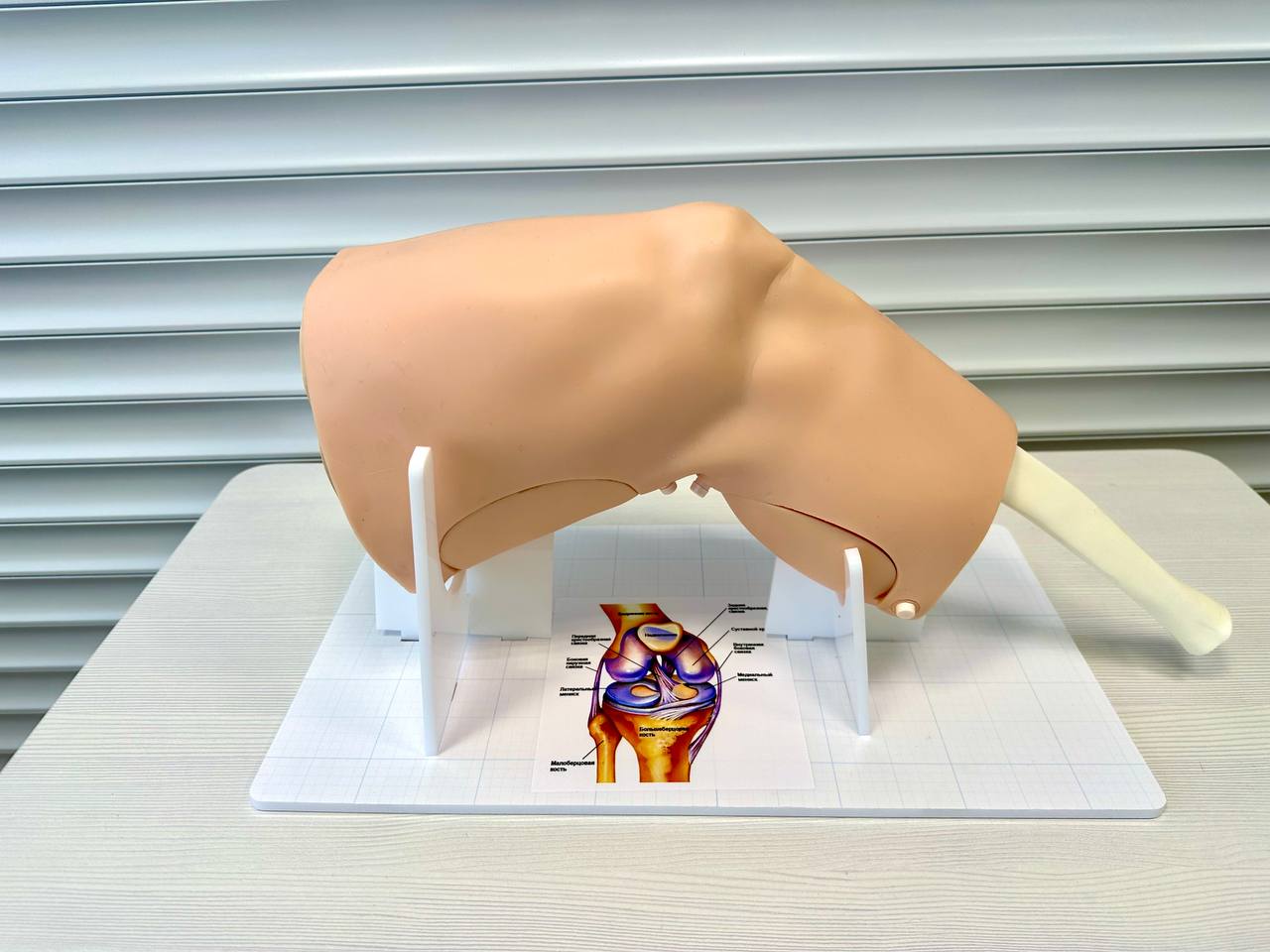 ЛОРПЫВАПРО