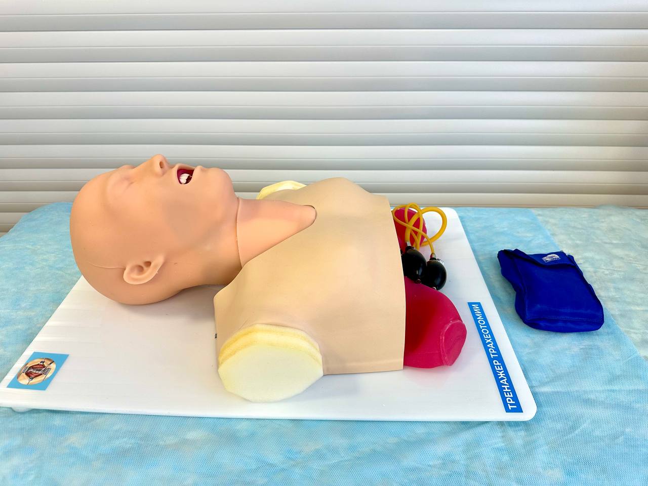 лдлорпрвывапр