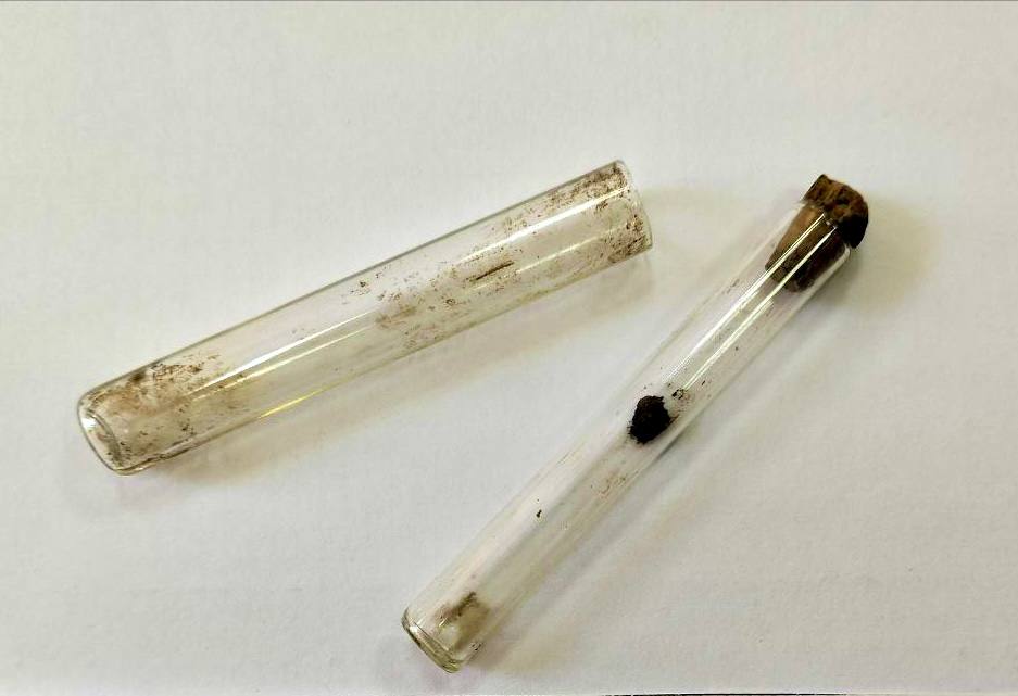 ааааааааарррррррррр