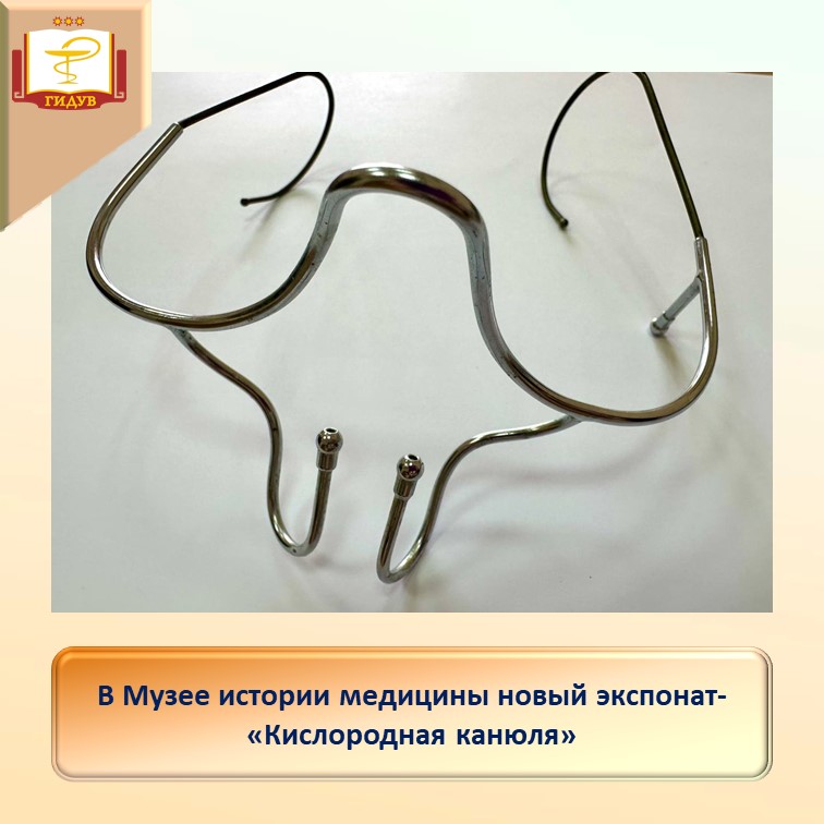 вви тиисаапр