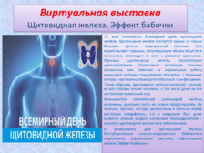 Щитовидная железа. Эффект бабочки