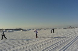 Коллектив Института принял участие в «Лыжне России»