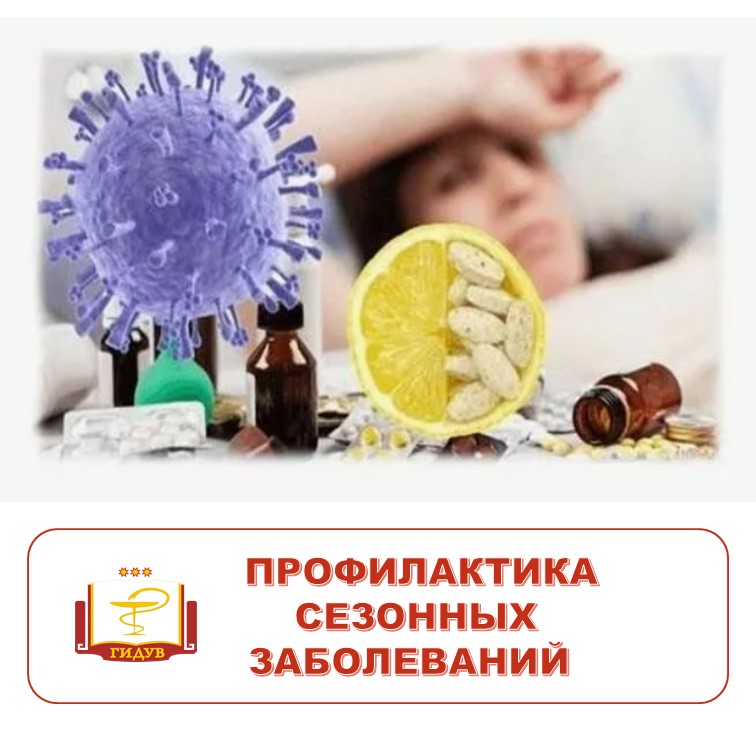 Памятка по профилактике сезонных заболеваний, а также новой коронавирусной инфекции