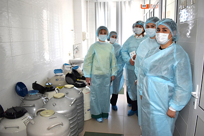 На кафедре акушерства и гинекологии Института усовершенствования врачей состоялся обучающий семинар для медицинских психологов Чувашии 