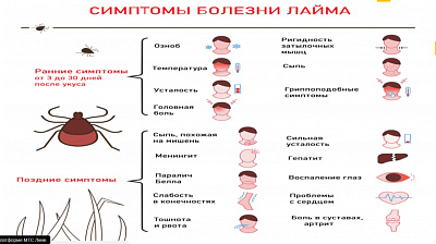 Состоялся вебинар "Инфекции, передающиеся клещами"